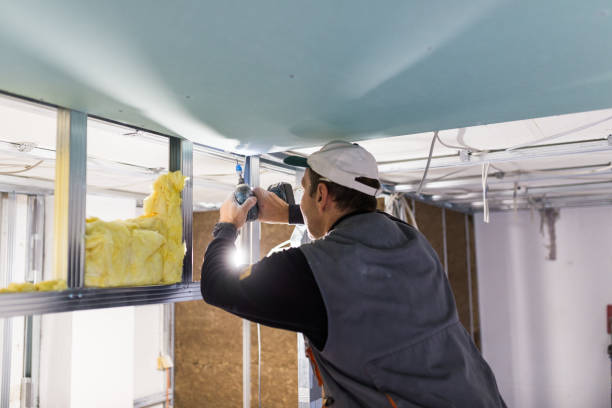Best Residential Insulation in Hilbert, WI