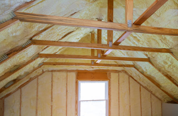 Best Cellulose Insulation in Hilbert, WI